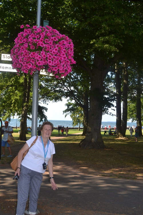 DSC_0686.thumb.JPG.309a5b28325ca59bb9ccc5b28177920f.jpg