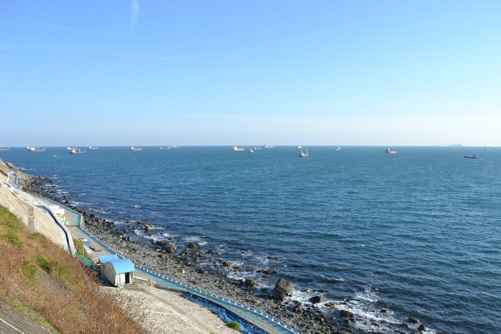 DSC_0802.JPG