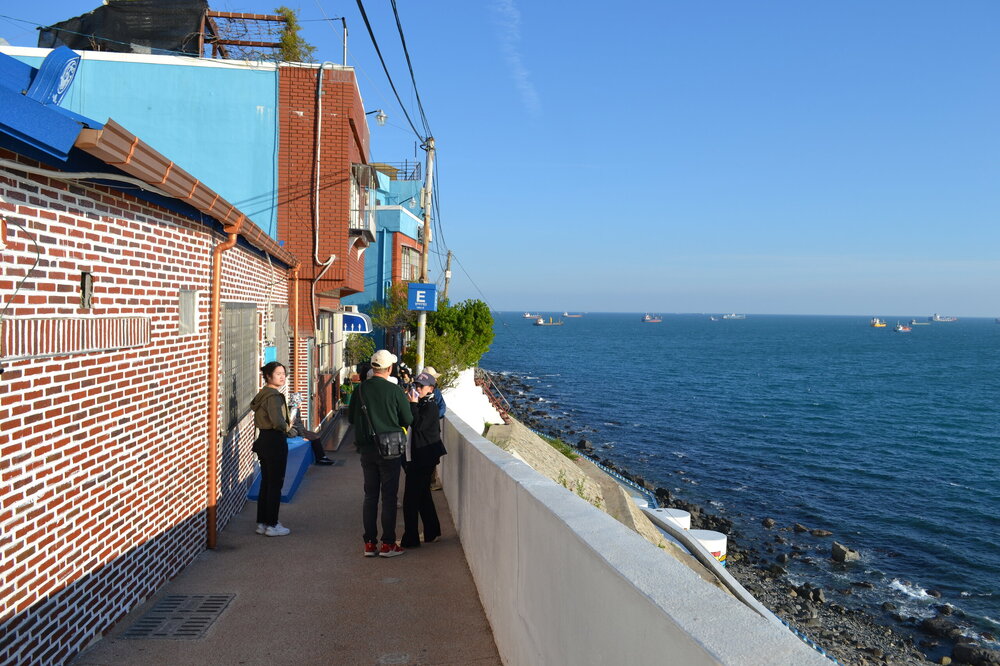DSC_0806.JPG