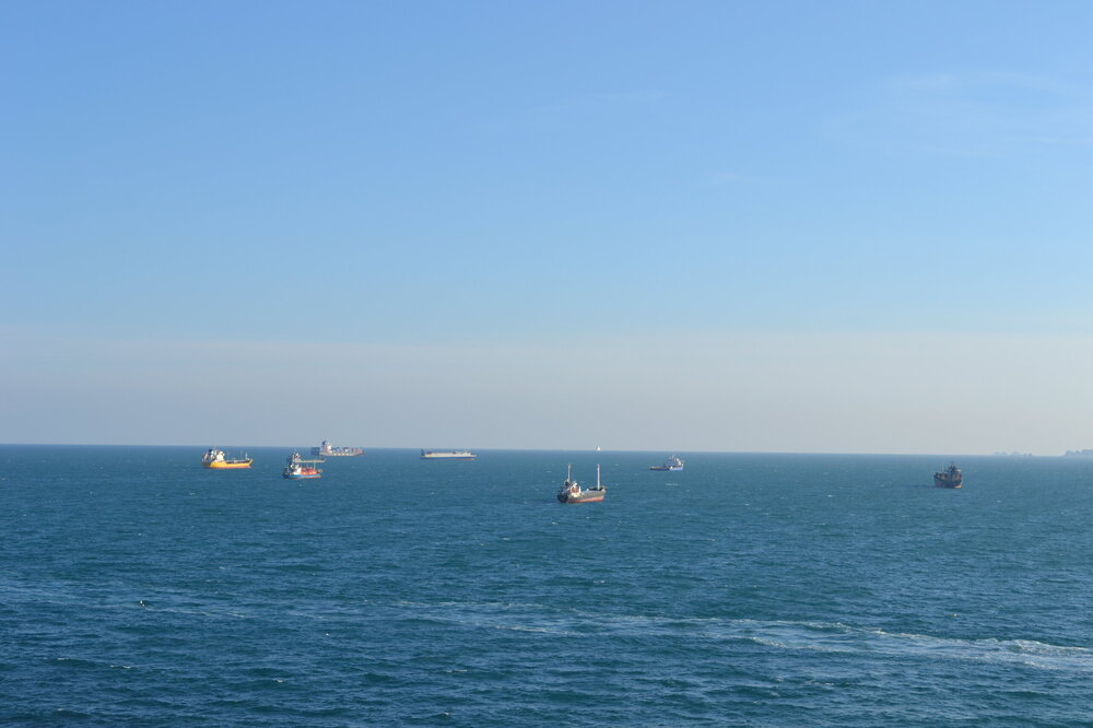 DSC_0808.JPG