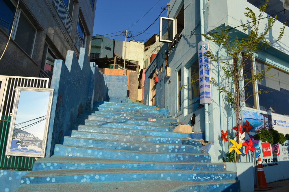 DSC_0817.JPG