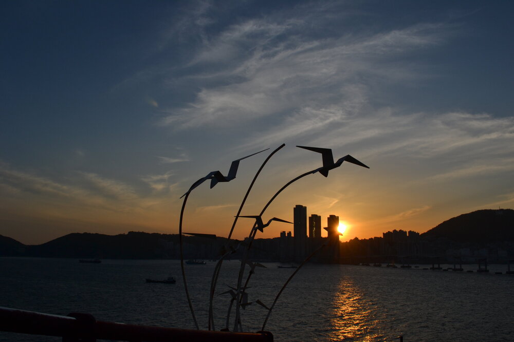 DSC_0869.JPG