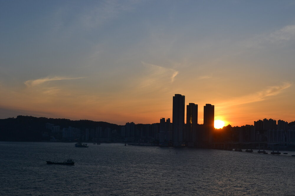 DSC_0873.JPG