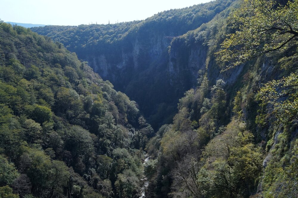 GNKTFBJqfp8.jpg