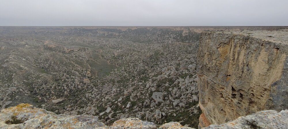 IMG20260411104519.jpg