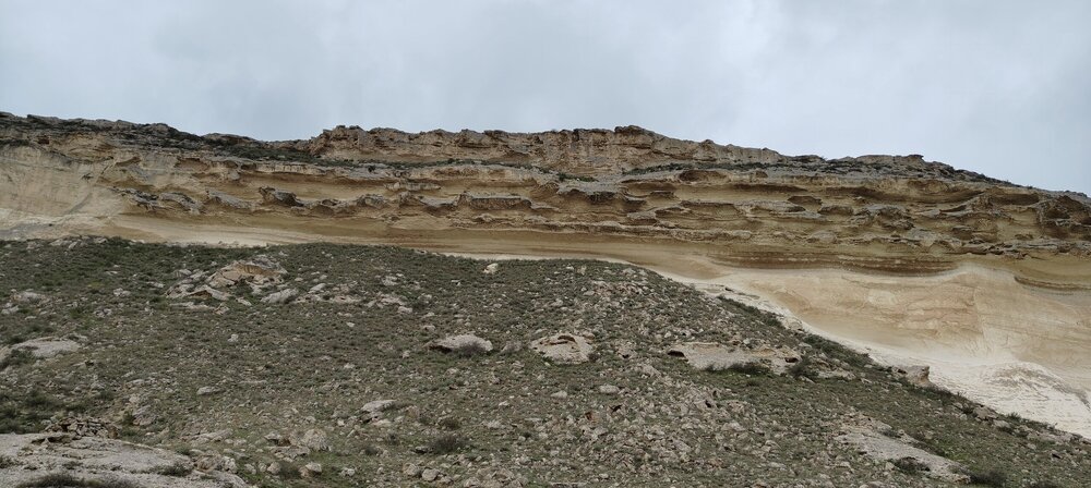 IMG20260411143239.jpg
