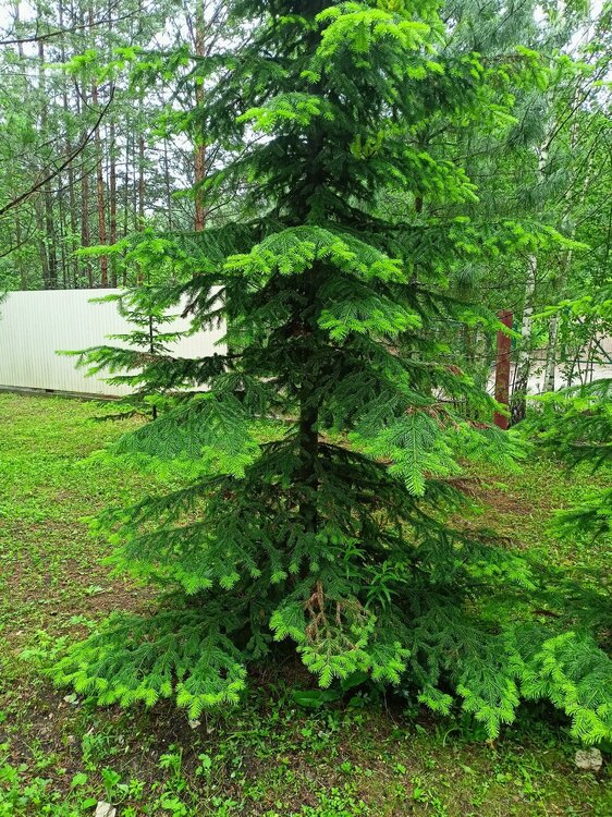 IMG20260612111627.jpg