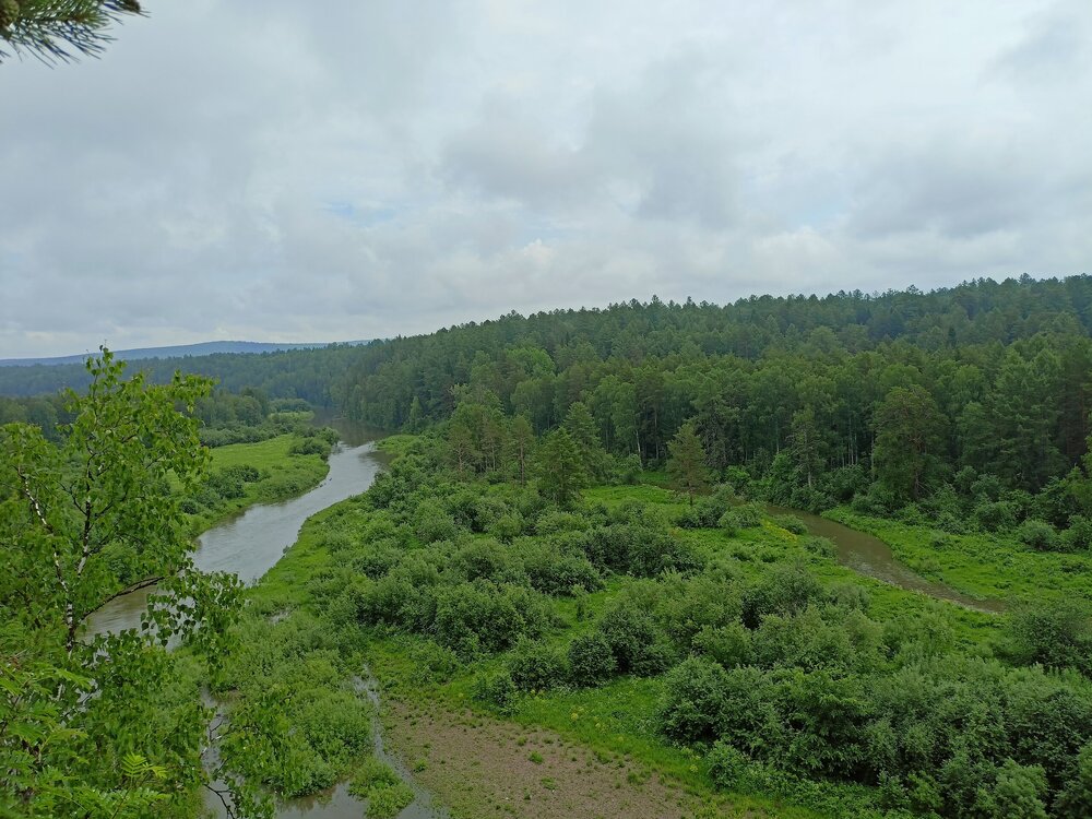 IMG20260612121551.jpg