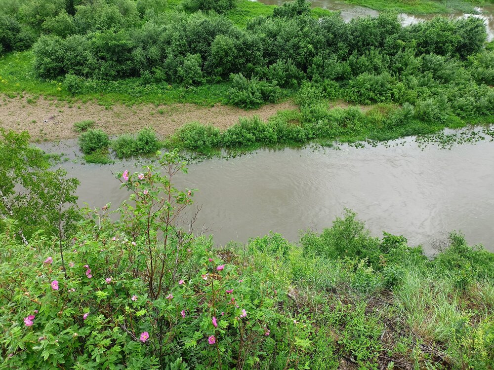 IMG20260612121622.jpg