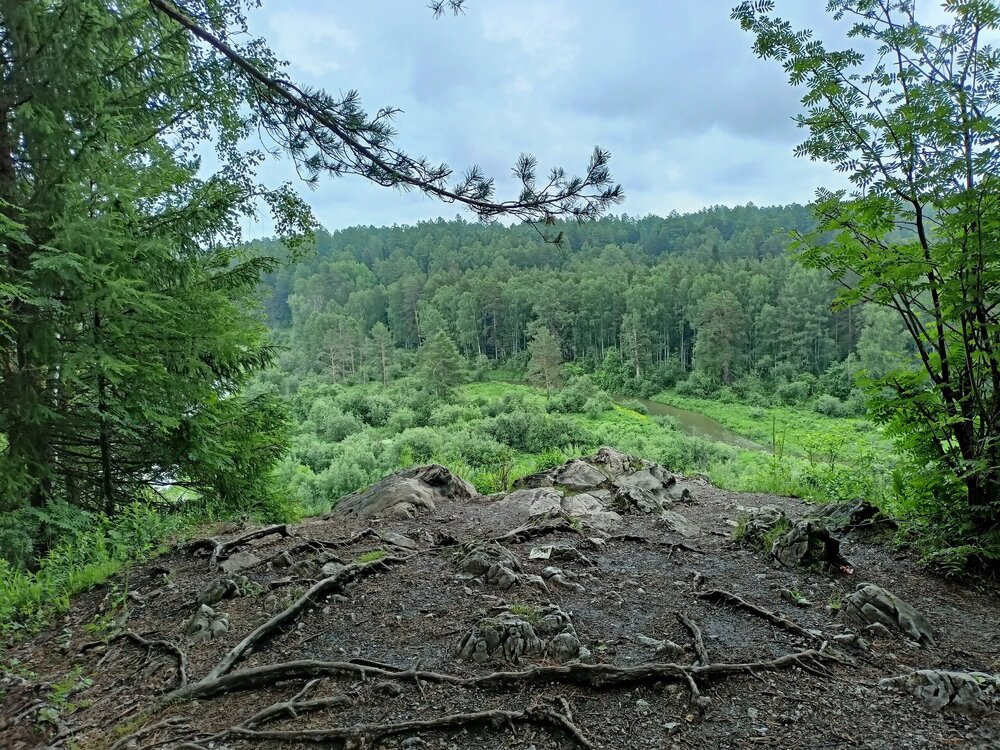 IMG20260612123018.jpg