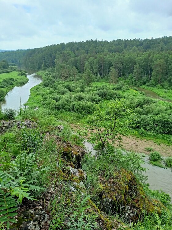 IMG20260612123134.jpg