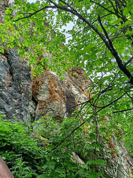 IMG20260612124704.jpg