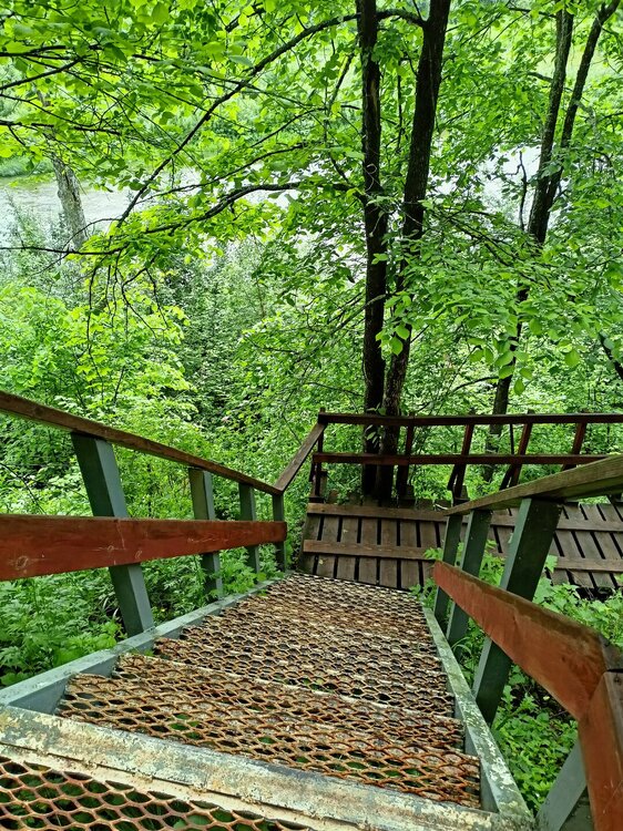 IMG20260612124708.jpg
