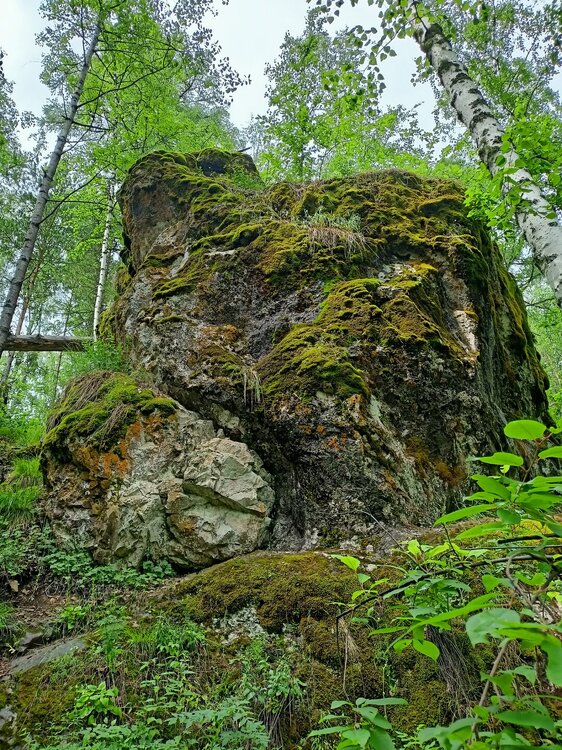 IMG20260612124943.jpg