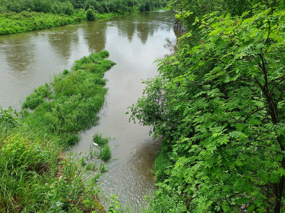 IMG20260612125425.jpg
