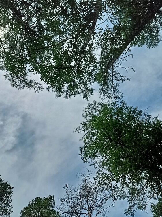 IMG20260612140927.jpg