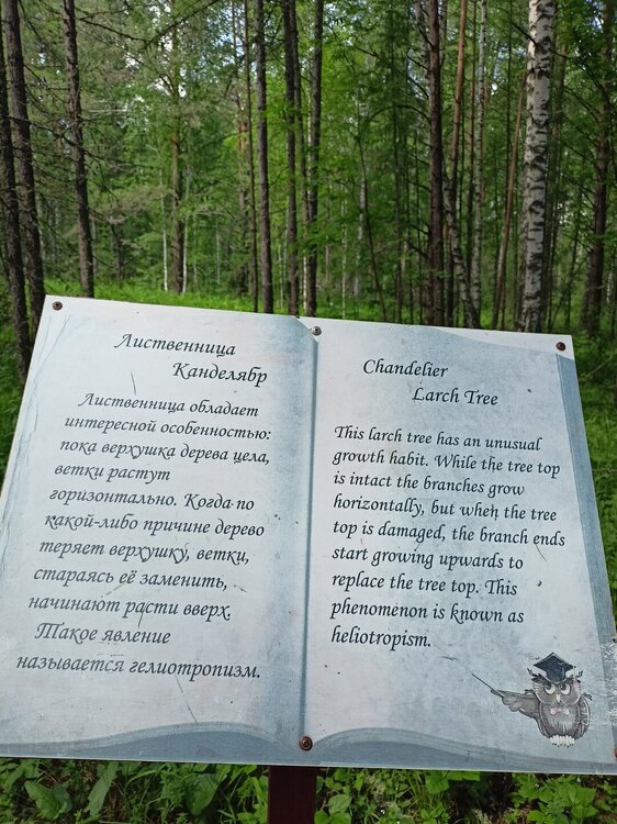 IMG20260612143328.jpg