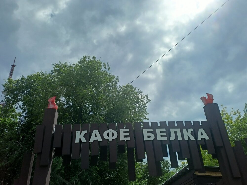 IMG20260628142558.jpg
