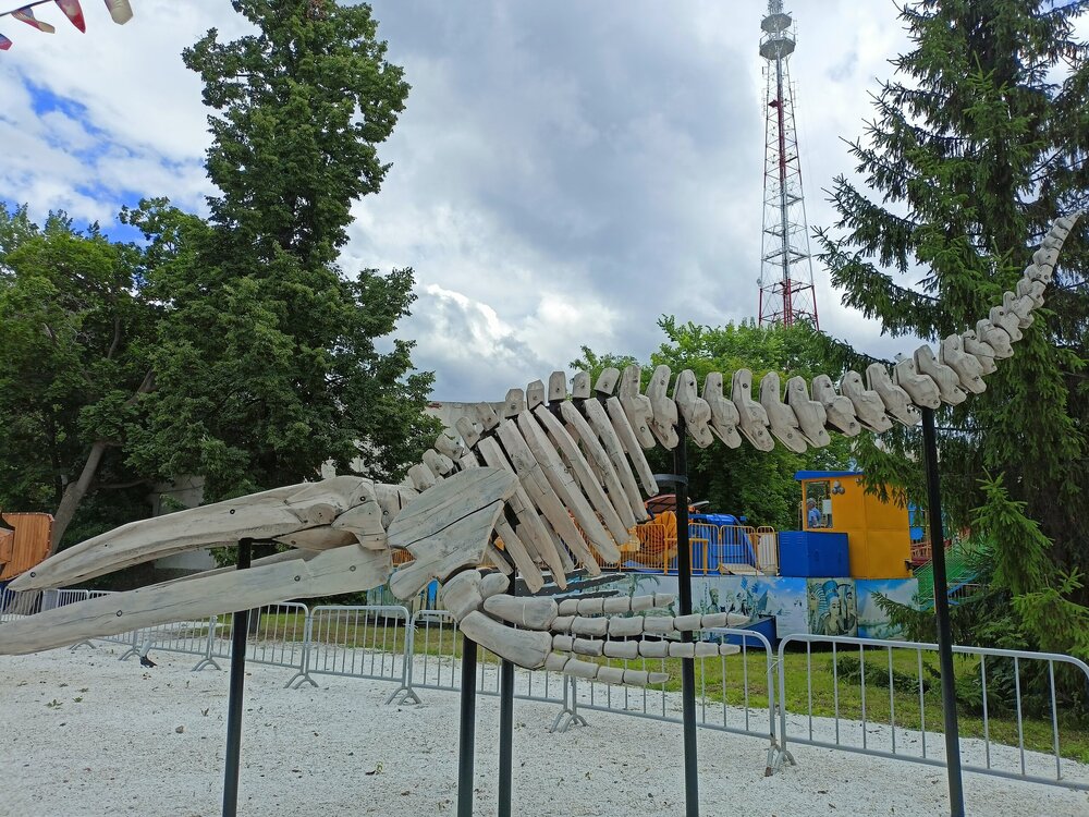 IMG20260628143137.jpg