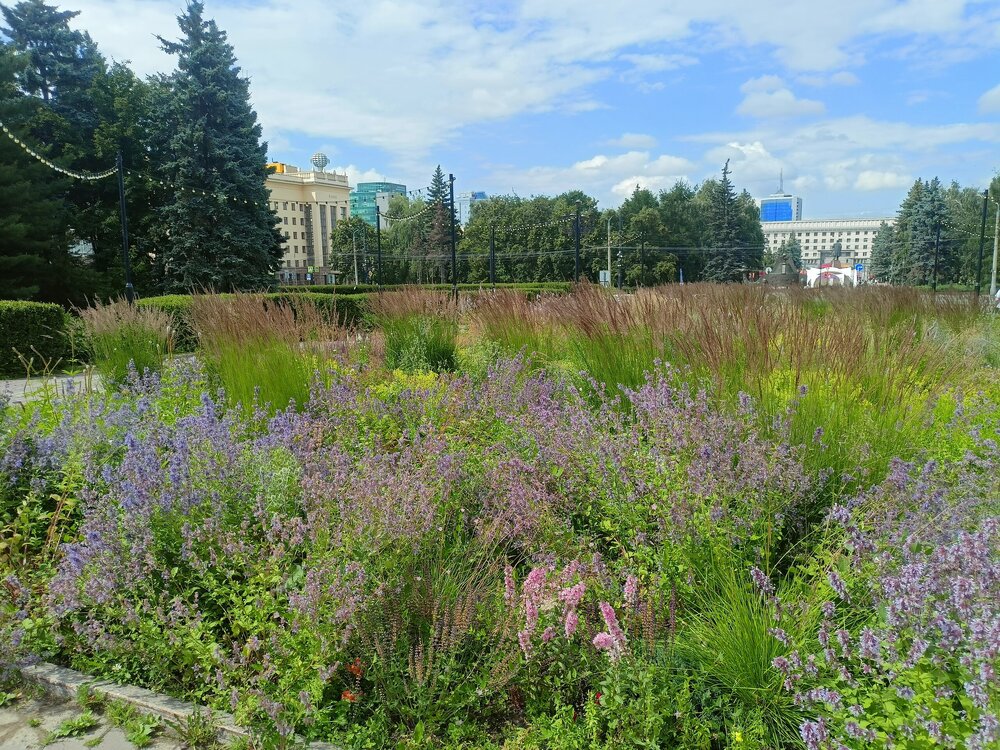 IMG20260628145418.jpg