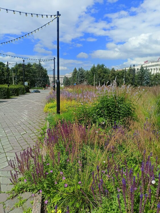 IMG20260628145504.jpg