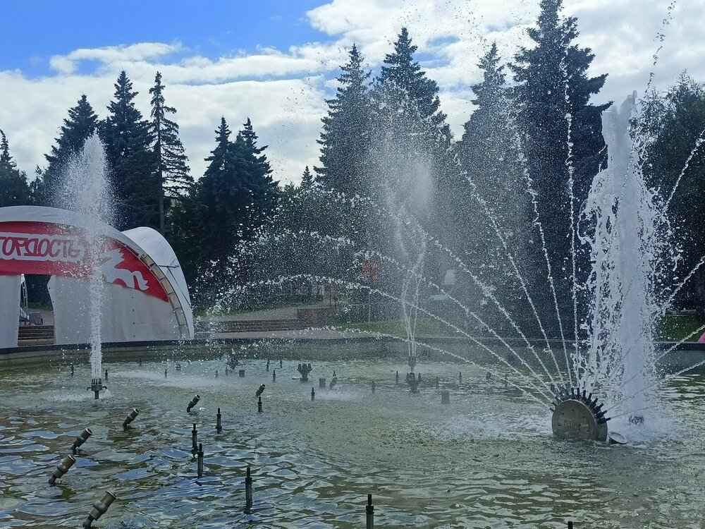 IMG20260628150451.jpg