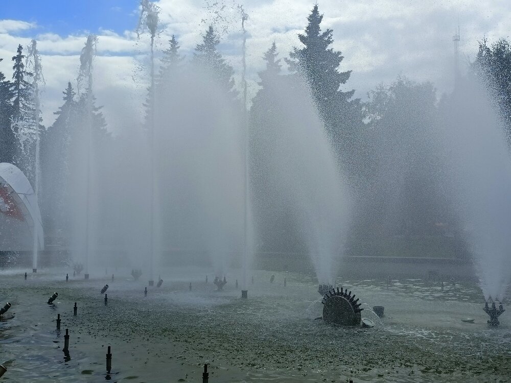 IMG20260628150500.jpg