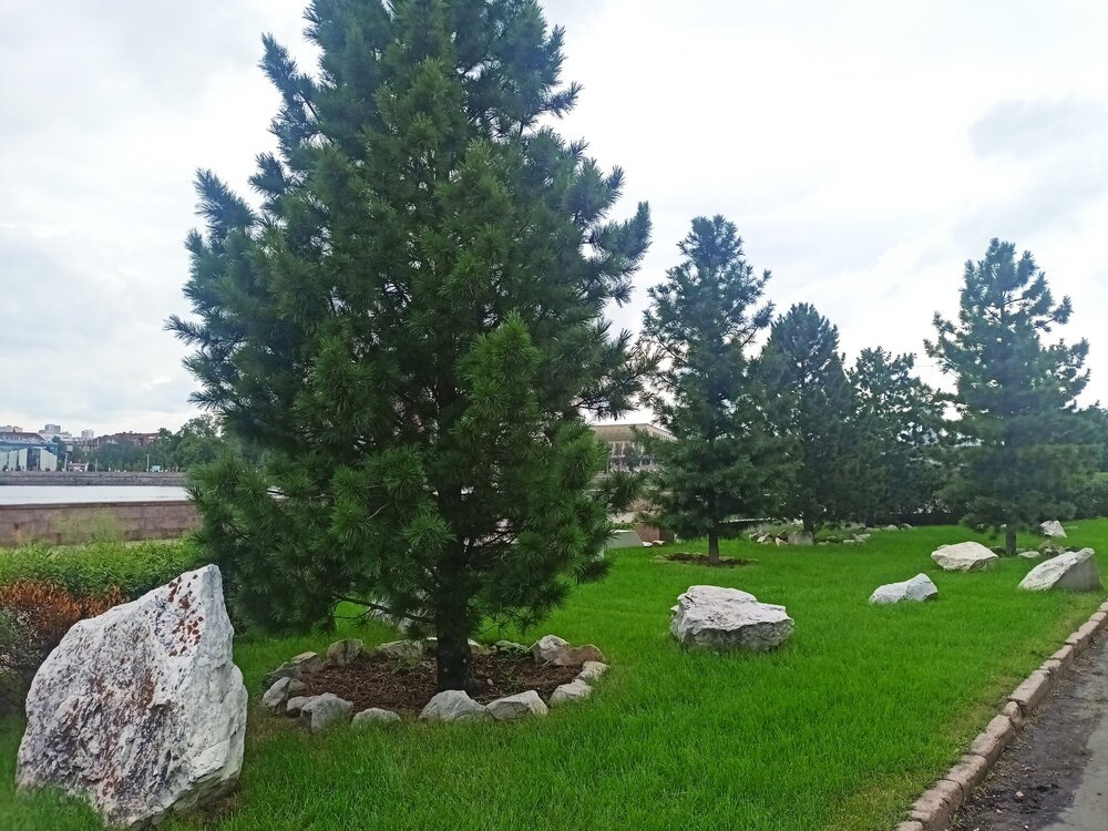 IMG20260628165848.jpg