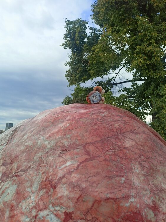 IMG20260628171034.jpg