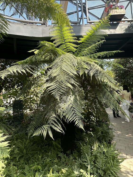 IMG_1013.jpeg