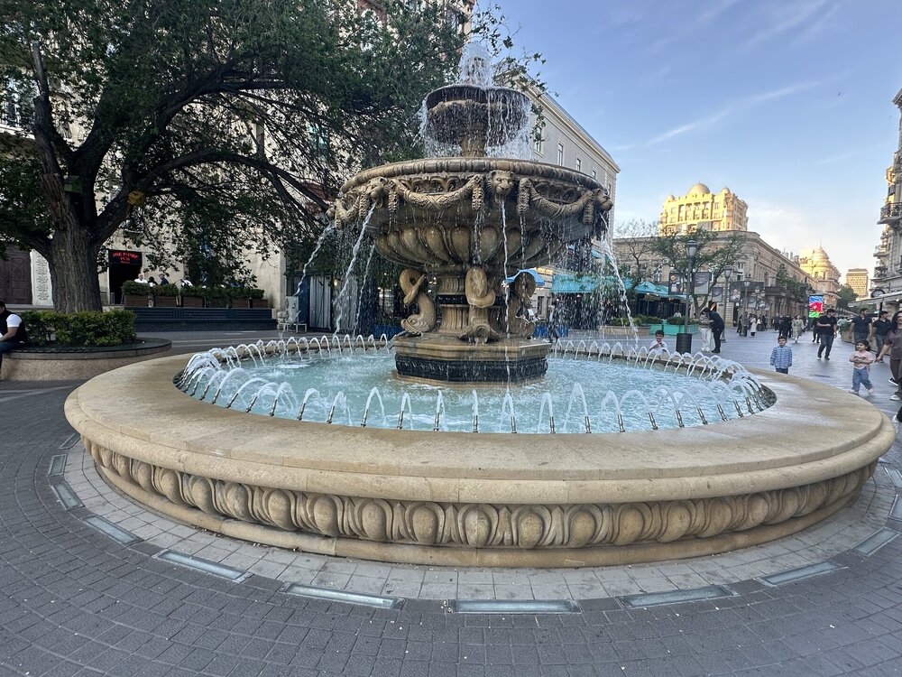 IMG_1055.jpeg