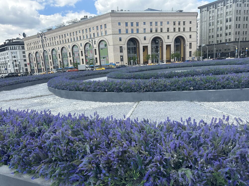 IMG_1232.jpeg