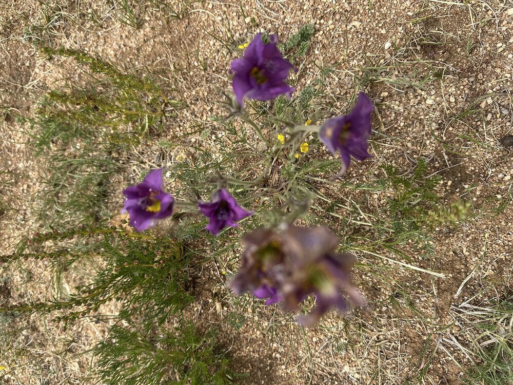 IMG_1979.jpeg
