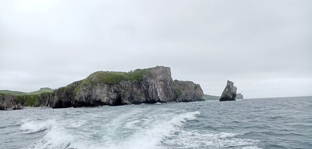 IMG_20230630_110722.jpg