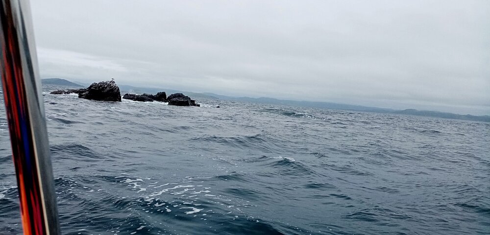 IMG_20230630_113228.jpg