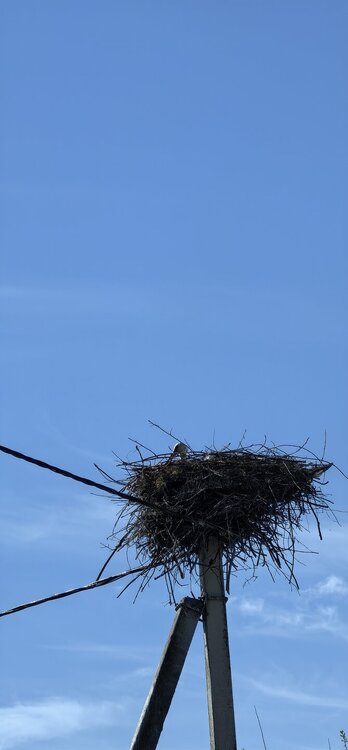 IMG_20260504_143218.jpg