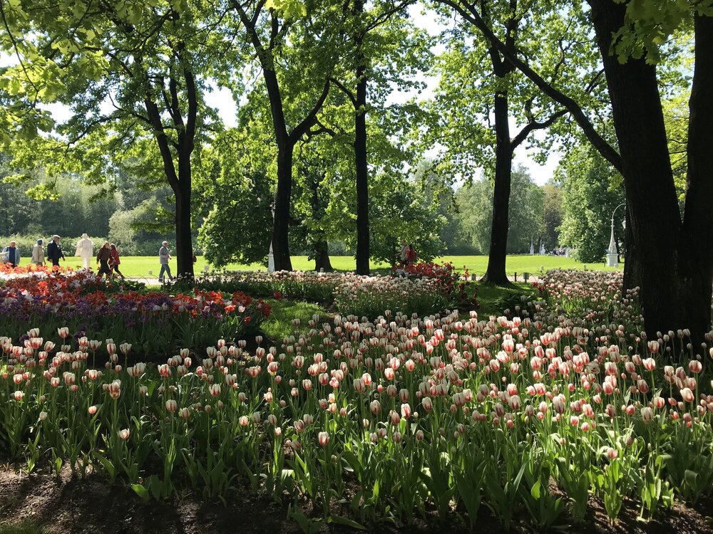 IMG_2978.jpeg