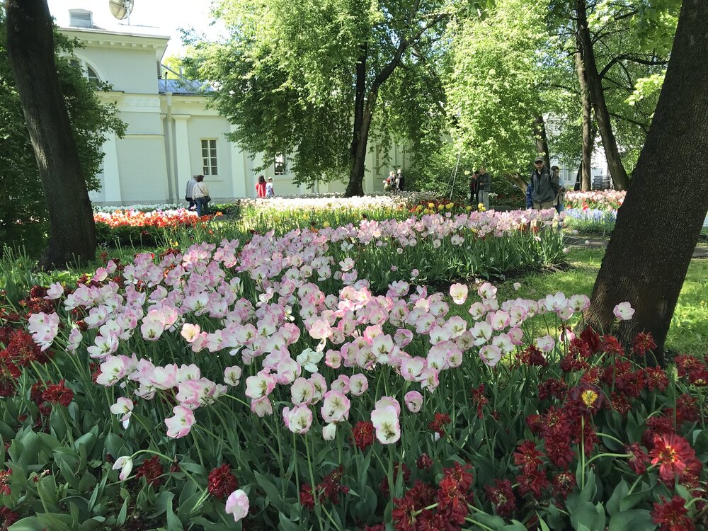 IMG_2984.jpeg