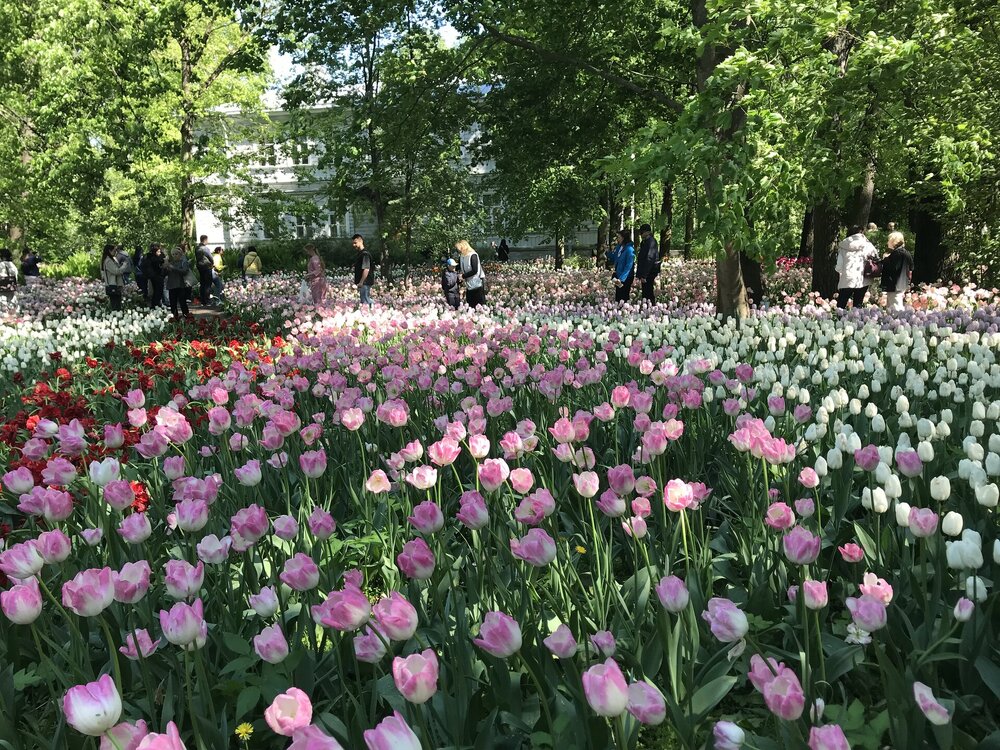 IMG_3016.jpeg