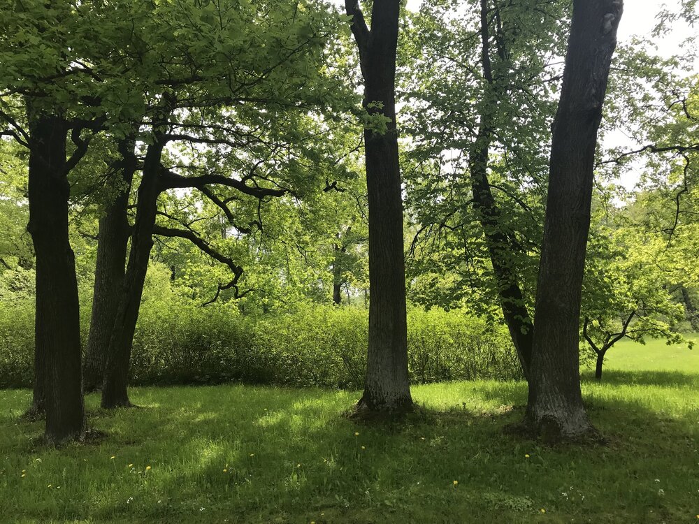 IMG_3044.jpeg