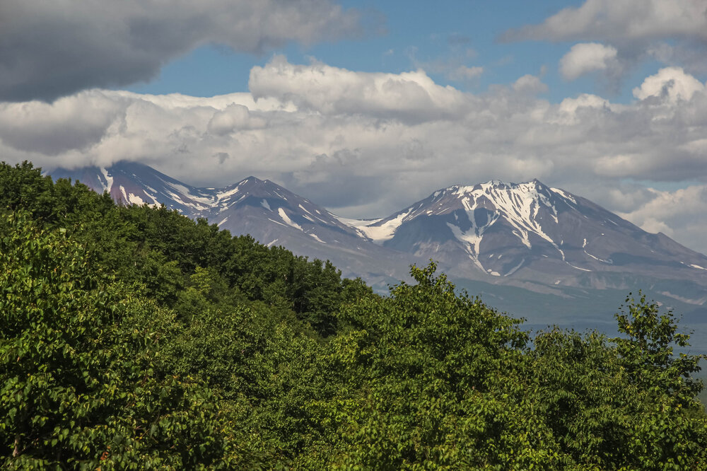 IMG_4986.jpg