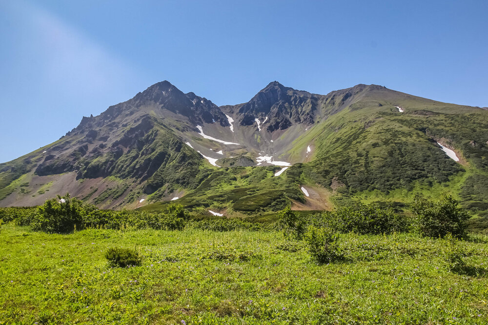 IMG_5256.jpg