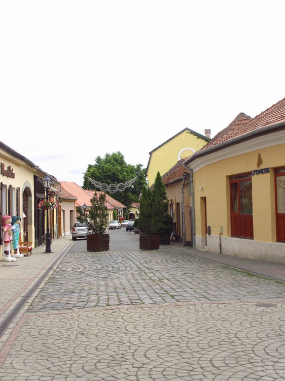 IMG_7552.JPG