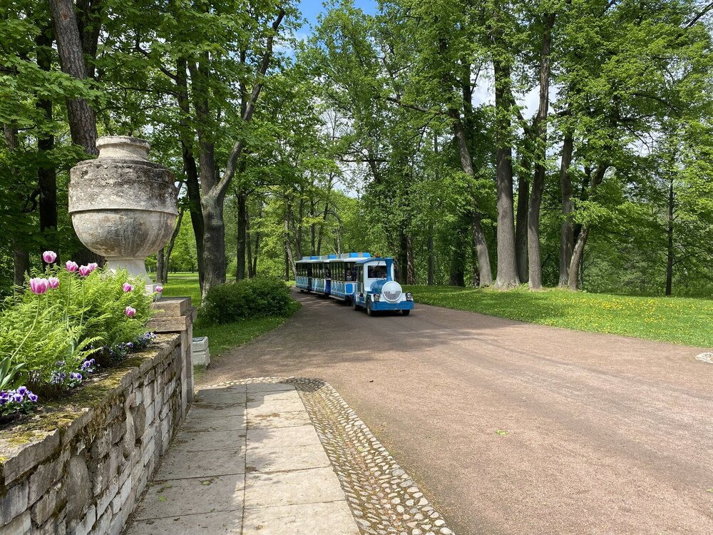 IMG_9344.jpeg