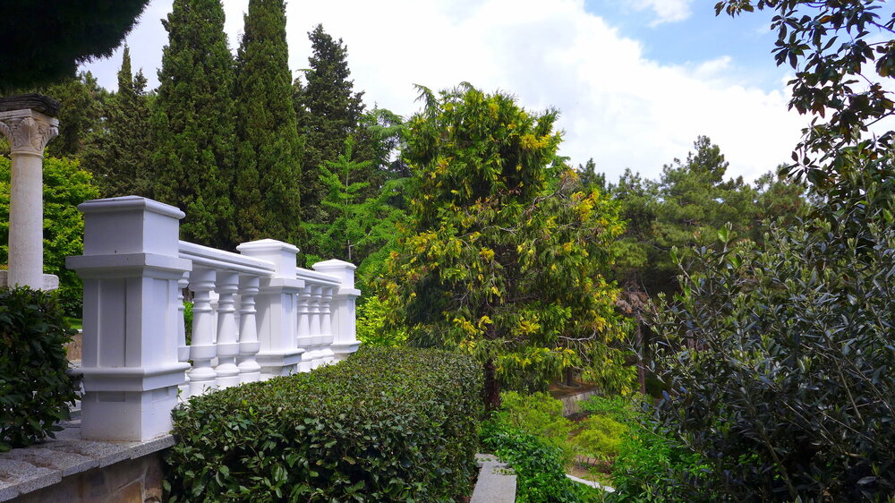 P1560990.JPG
