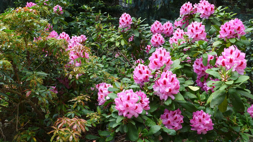 P1570026.JPG