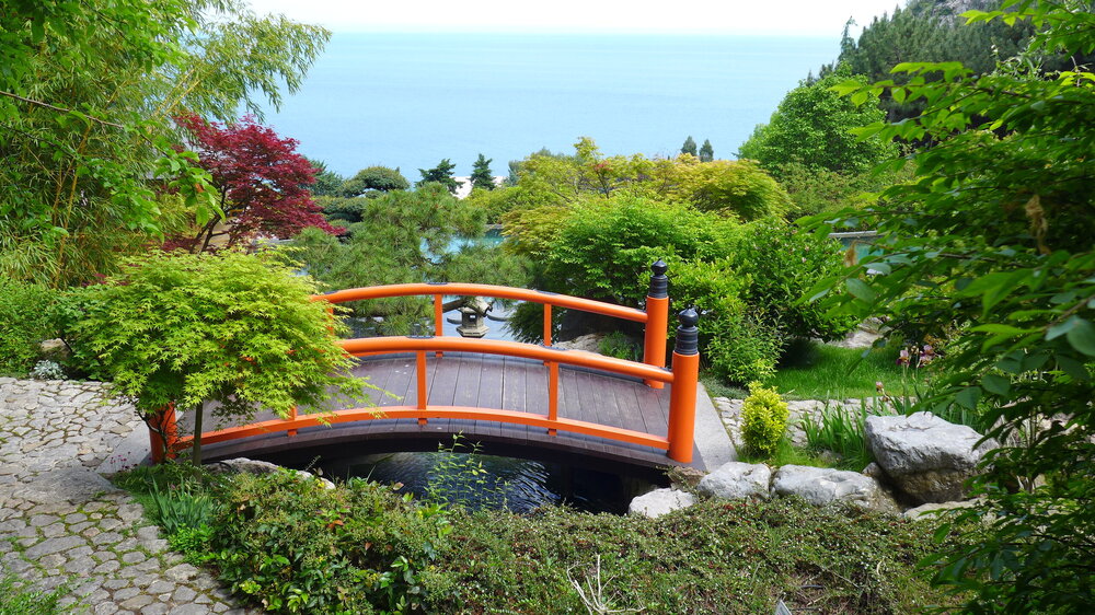 P1570145.JPG