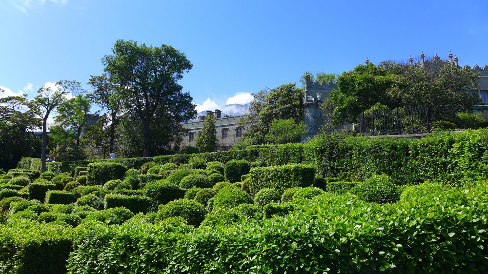 P1570547.JPG