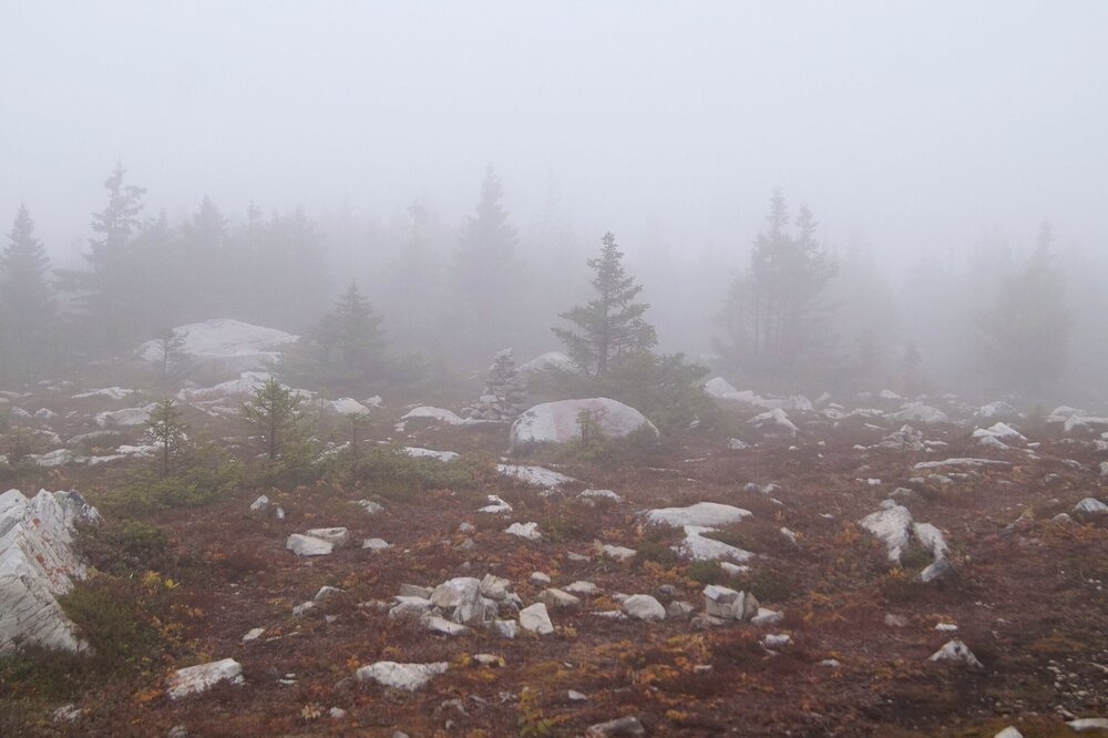 RDfKPOO0bnI.jpg