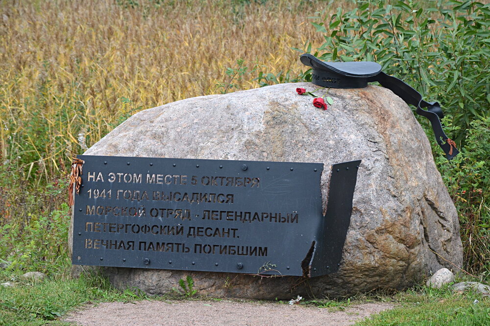 ______DSC_1989.JPG